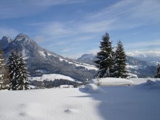 Tauplitzalm